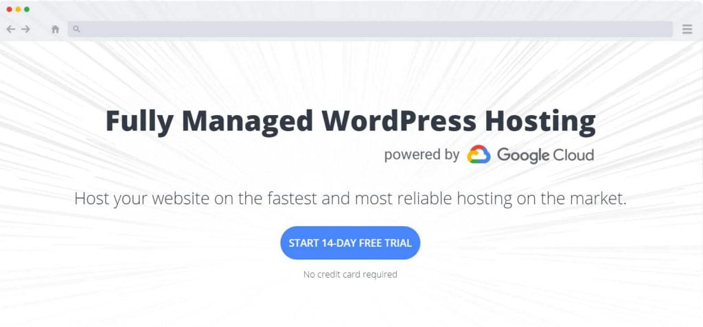 10Web WordPress Hosting