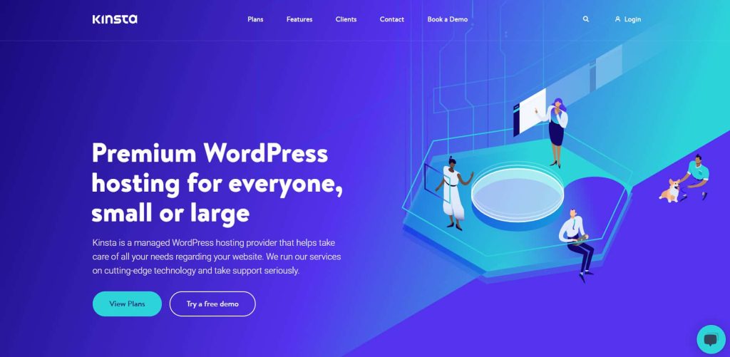 Kinsta Hosting