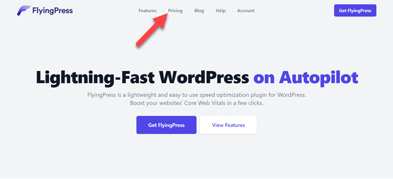 Choose FlyingPress Pricing