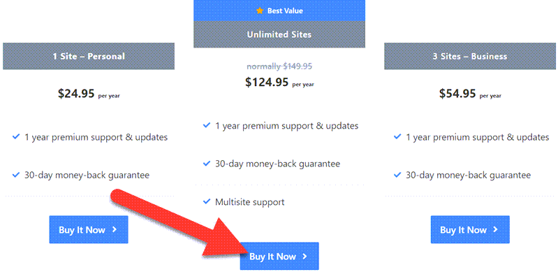 Perfmatters Pricing