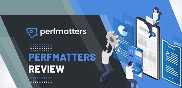 Perfmatters Review