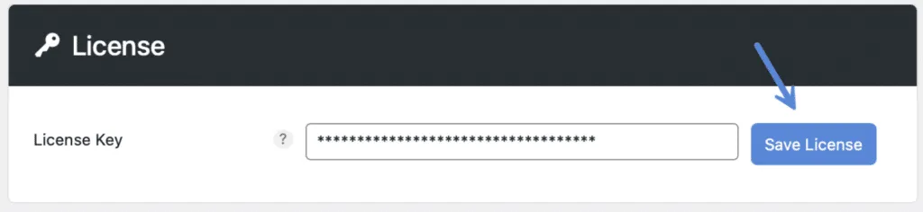 perfmatters-save-license