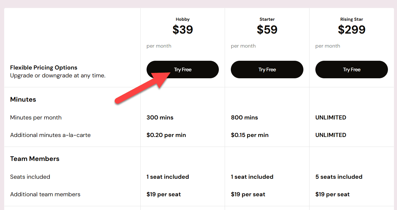 Castmagic Pricing